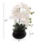 Artificial White Phalaenopsis Orchid Arrangement | 18-Inch | Elegant Black Ceramic Round Vase with Lifelike Silk Blooms & Latex Green Foliage | Table Centerpieces | Home & Office Decor